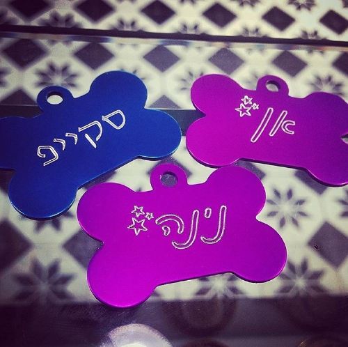 תגי זיהוי לכלבים